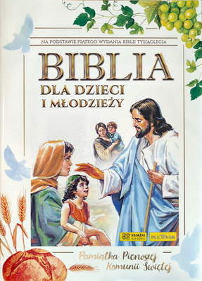 Zdjęcie do “Biblia dla dzieci i młodzieży”.