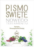 Pismo Święte Nowego Testamentu {}z ilustracjami
