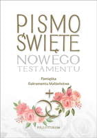 Pismo Świete Nowego Testamentu{}z ilustracjami