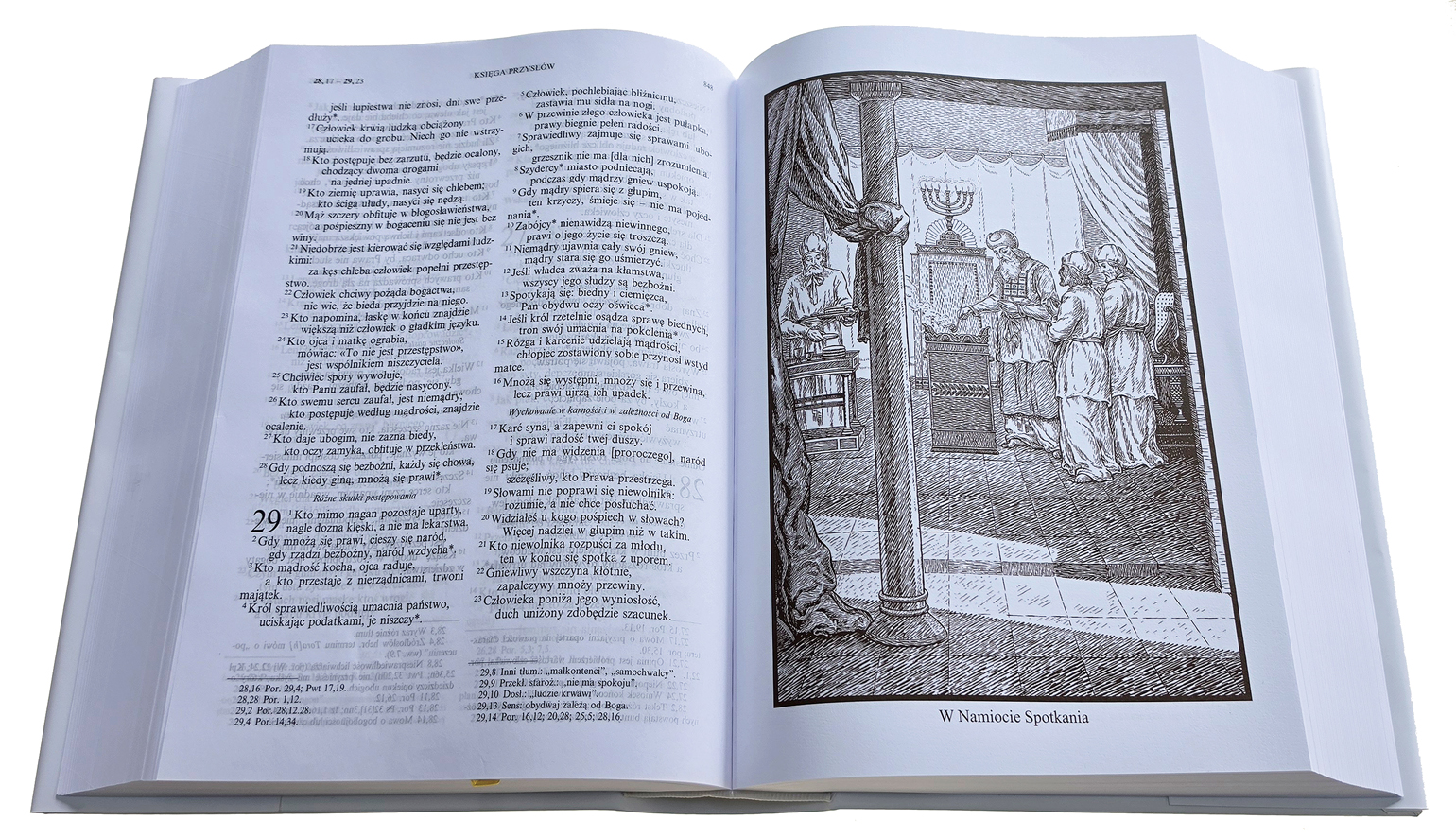 Biblia_PAPIESKA_środek